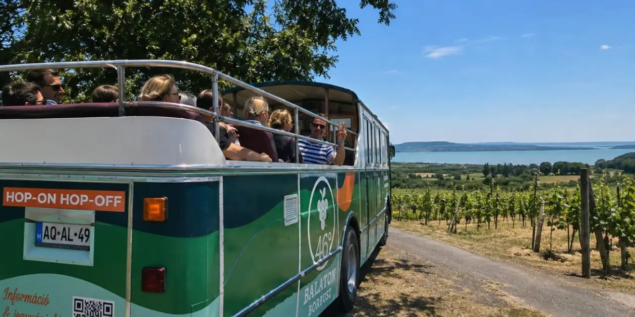 Balaton Borbusz